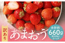 【訳あり】 福岡県産 あまおう 約660g 約330g×2パック 【2025年3月上旬～3月下旬発送】 中粒 小粒 いちご 苺 イチゴ 果物 フルーツ