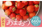 【訳あり】 福岡県産 あまおう 約660g 約330g×2パック