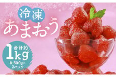 冷凍 あまおう 約1kg 約500g×2パック いちご 苺 イチゴ 果物 フルーツ 福岡県産