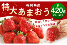 厳選 特大 あまおう 約420g 9玉～15玉入 【2025年1月上旬から3月下旬発送予定】 福岡県産 いちご 苺 果物 フルーツ お取り寄せ