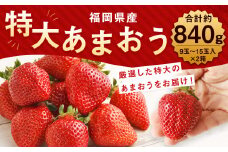  厳選 特大 あまおう 9玉～15玉入×2箱  約840g 【2025年1月上旬から3月下旬発送予定】 福岡県産 いちご 苺 果物 フルーツ お取り寄せ