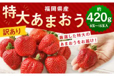 【訳あり】特大 あまおう 9玉～15玉入 約420g【2025年1月上旬から3月下旬発送予定】 福岡県産 いちご 苺 果物 フルーツ お取り寄せ