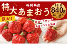 【訳あり】特大 あまおう 9玉～15玉入×2箱 約840g【2025年1月上旬から3月下旬発送予定】 いちご  果物 フルーツ お取り寄せ苺