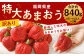【訳あり】特大 あまおう 約840g(9玉～15玉入×2箱) いちご
