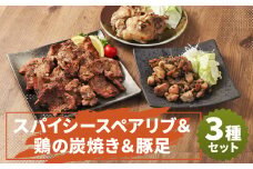 スパイシースペアリブ＆鶏の炭焼きセット（計約820g）＆豚足2本 おかず 惣菜 ディナー ランチ 簡単調理 レンジ 冷凍