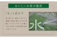 日本茶AWARD プラチナ賞 受賞 八女茶 「極上煎茶ティーバッグ 麗至 uruwashi」4袋セット