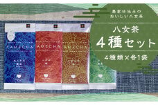 八女茶 4種類×各1袋 セット 煎茶 白折茶 玄米茶 お茶 緑茶 ティーバッグ 日本茶AWARD受賞