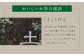 八女茶 4種類×各1袋 セット 煎茶 白折茶 玄米茶