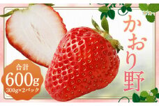 いちご「かおり野」プレミアム 300g×2パック 約600g 【2024年12月下旬から2025年3月下旬発送予定】 苺 イチゴ ベリー 果物 フルーツ デザート おやつ お取り寄せ