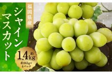 シャインマスカット 約1.46kg （365g×4パック） マスカット ぶどう 果物 フルーツ お取り寄せ デザート おやつ 福岡県産 冷蔵 【2025年9月上旬から9月下旬順次発送予定】