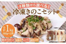 【4種類から2品選択！】 選べる 冷凍 きのこ セット 各500g 合計1kg 博多すぎたけ しめじ えのき エリンギ / キノコ お取り寄せ 詰め合わせ 食べ比べ