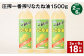 【2ヶ月毎6回定期便】 圧搾一番搾り なたね油 1500g 計18本（3本✕6回） 食用油 油 調味料