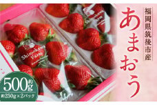 特別栽培の濃厚完熟あまおう 約500g 約250g×2パック【2026年1月上旬から3月下旬発送予定】 苺 いちご あまおう 果物 フルーツ 福岡県