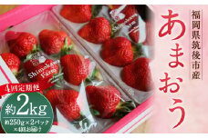 【4回定期便】 特別栽培の 濃厚 完熟 あまおう 約500g 約250g×2パック【2024年12月上旬から2025年3月下旬発送予定】 苺 いちご 果物 フルーツ 福岡県