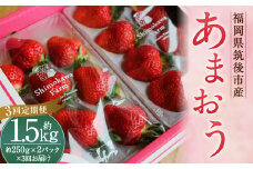 【3回定期便】 特別栽培の 濃厚 完 熟あまおう 約500g 約250g×2パック【2025年1月上旬から3月下旬発送予定】 苺 いちご 果物 フルーツ 福岡県