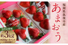 【3回定期便】 特別栽培の 濃厚 完熟 あまおう 約1kg 約250g×4パック【2025年1月上旬から3月下旬発送予定】 苺 いちご 果物 フルーツ 福岡県