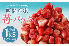 瞬間冷凍 苺 パック 1kg 500g×2袋 / あまおう 苺 果物 フルーツ 冷凍