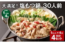 【1ヶ月毎4回定期便】大満足！塩もつ鍋 30人前 計4セット（1セット✕4回） モツ鍋 もつ鍋 セット