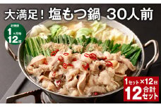 【1ヶ月毎12回定期便】大満足！塩もつ鍋 30人前 計12セット（1セット✕12回） モツ鍋 もつ鍋 セット