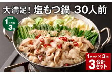 【1ヶ月毎3回定期便】大満足！塩もつ鍋 30人前 計3セット（1セット✕3回） モツ鍋 もつ鍋 セット