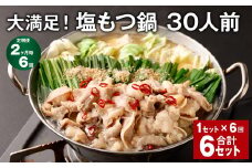 【2ヶ月毎6回定期便】大満足！塩もつ鍋 30人前 計6セット（1セット✕6回） モツ鍋 もつ鍋 セット