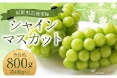 シャインマスカット 約800g 400g×2 【2025年8月下旬から9月下旬発送予定】 ぶどう 葡萄 種なし 大粒 果物  マスカット フルーツ デザート 冷蔵