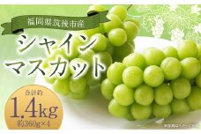 シャインマスカット 約1.44kg 360g×4 【2025年8月下旬から9月下旬発送予定】 ぶどう 葡萄 種なし 大粒 果物 マスカット フルーツ デザート 冷蔵