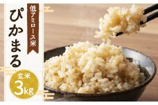 【新米先行予約】低アミロース米 ぴかまる 3kg 玄米 米 お米 玄米 福岡県 筑後市 【2025年11月より順次発送開始予定】