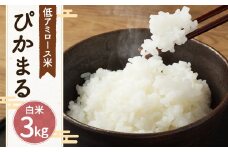 【新米先行予約】 低アミロース米 ぴかまる 3kg 白米 米 お米 白米 福岡県 筑後市 【2025年11月より順次発送開始予定】
