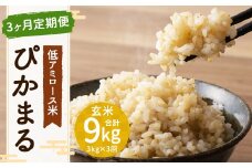 【新米先行予約】【3ヶ月定期便】低アミロース米 ぴかまる 3kg×3回 合計9kg 玄米 米 お米 玄米 福岡県 筑後市 【2025年11月より順次発送開始予定】