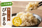 【新米先行予約】【3ヶ月定期便】低アミロース米 ぴかまる 3kg×3回 合計9kg 玄米