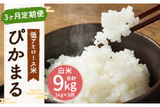 【新米先行予約】【3ヶ月定期便】低アミロース米 ぴかまる 3kg×3回 合計9kg 白米 米 お米 福岡県 筑後市 【2025年11月より順次発送開始予定】