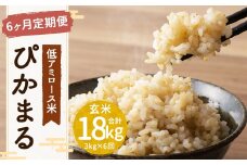 【新米先行予約】【6ヶ月定期便】低アミロース米 ぴかまる 3kg×6回 合計18kg 玄米 米 お米 福岡県 筑後市 【2025年11月より順次発送開始予定】