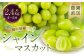 農園直送 ！ シャインマスカット 約2.4kg 4〜5房