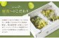 【訳あり】農園直送！ シャインマスカット 約2kg