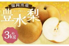  豊水梨 約3kg 5～8玉【2025年8月上旬～9月上旬発送予定】 ナシ 梨 果物 フルーツ 福岡県産
