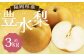  豊水梨 約3kg 5～8玉