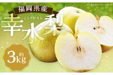 幸水梨 約3kg 5～8玉【2025年7月上旬～8月上旬発送】 ナシ 梨 果物 フルーツ 福岡県産