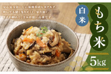 福岡県産 栽培期間中 農薬・肥料不使用 もち米【白米】5kg 1袋 / 餅米 もち 米 お米 おこわ 赤飯 福岡県 筑後市