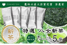 【訳アリ 簡易包装】 2025年度産 出来たて特選八女新茶 八女茶 90g×5袋 お茶 日本茶 緑茶 八女茶 新茶 【2025年5月下旬-2025年7月下旬発送予定】 
