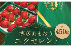 【期間限定】 博多 あまおう いちご エクセレント 約450g×1パック 苺 イチゴ 果物 フルーツ 【2026年1月下旬～2月下旬順次発送予定】 