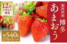 いちご「あまおう」 約270g×2パック 計約540g 苺 イチゴ 果物 フルーツ 【2025年12月上旬～2026年1月下旬順次発送予定】