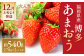 いちご「あまおう」 約270g×2パック 計約540g