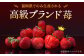 いちご「あまおう」 約270g×2パック 計約540g
