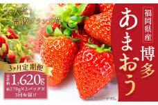 【3回定期便】いちご「あまおう」 約270g×2パック 計約1.62kg 苺 イチゴ 果物 フルーツ 【2026年1月上旬順次発送開始予定】