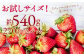 【3回定期便】いちご「あまおう」 約270g×2パック 計約1.62kg