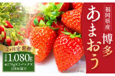 【2回定期便】いちご「あまおう」 約270g×2パック 計約1.08kg 苺 イチゴ 果物 フルーツ 【2026年1月上旬発送順次開始予定】