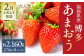 いちご 「あまおう」 約270g×8パック 計約2160g