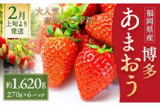 いちご 「あまおう」 約270g×6パック 計約1620g 苺 イチゴ 果物 フルーツ 【2026年2月上旬～2026年3月下旬順次発送予定】