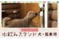 ハンドメイド パイン材 犬・猫兼用 水飲みスタンド シンプルタイプ 高さ調節可能 ペット用品